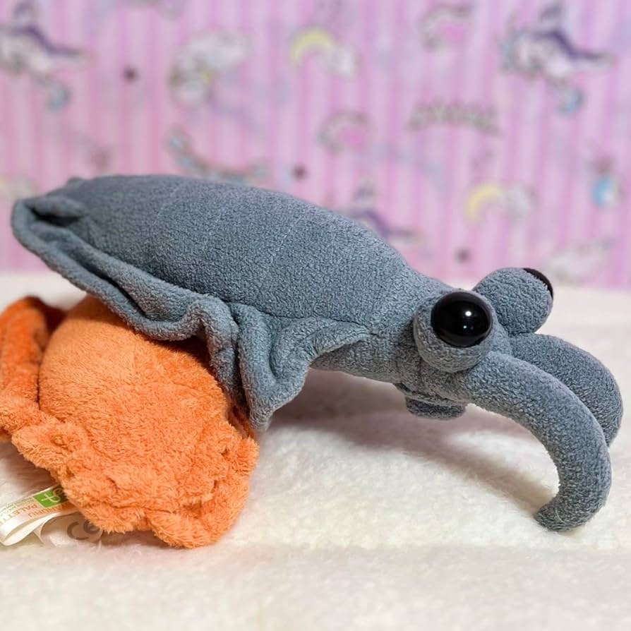 (未使用･未開封品)　古代生物シリーズ アノマロカリス ぬいぐるみ 5967A v1yptgt 楽天市場】アノマロカリス (M) : YY SHOP ぬいぐるみ専門店